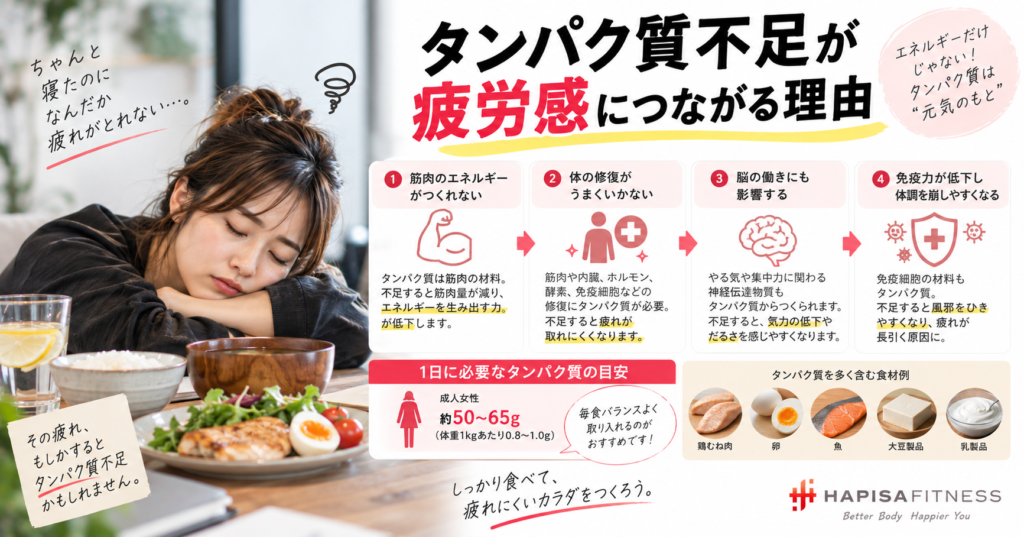 タンパク質不足が疲労感につながる理由